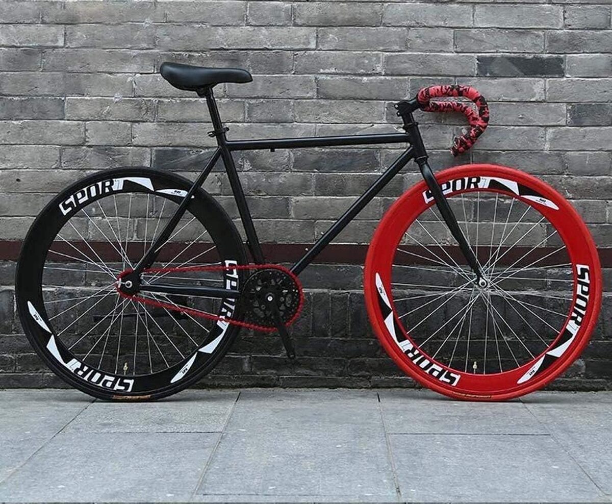 Test Vélo ALQPPM : performance et Style sur Route