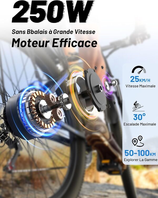 OneSportWay DUOTTS C29 Vélo Électrique, E-Bike Batterie Amovible 48V 15Ah et Moteur 250W, VTT électrique 21 Vitesses Professionnelles avec Écran LCD, Banlieue Électrique pour Hommes et Femmes