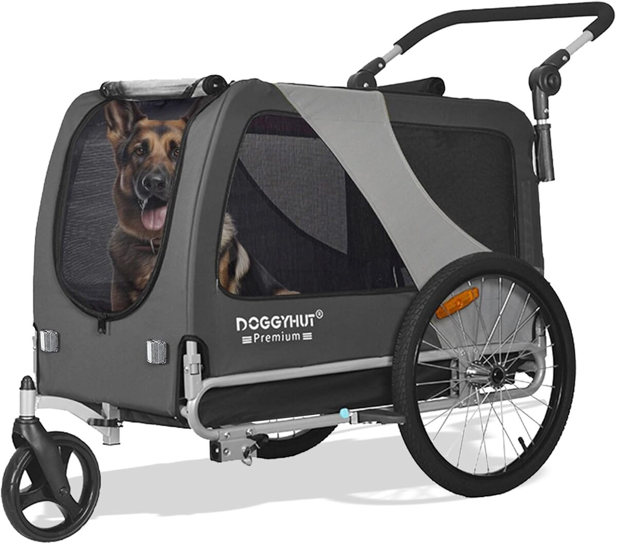 Test de la remorque Doggyhut TIGGO XXL pour grands chiens