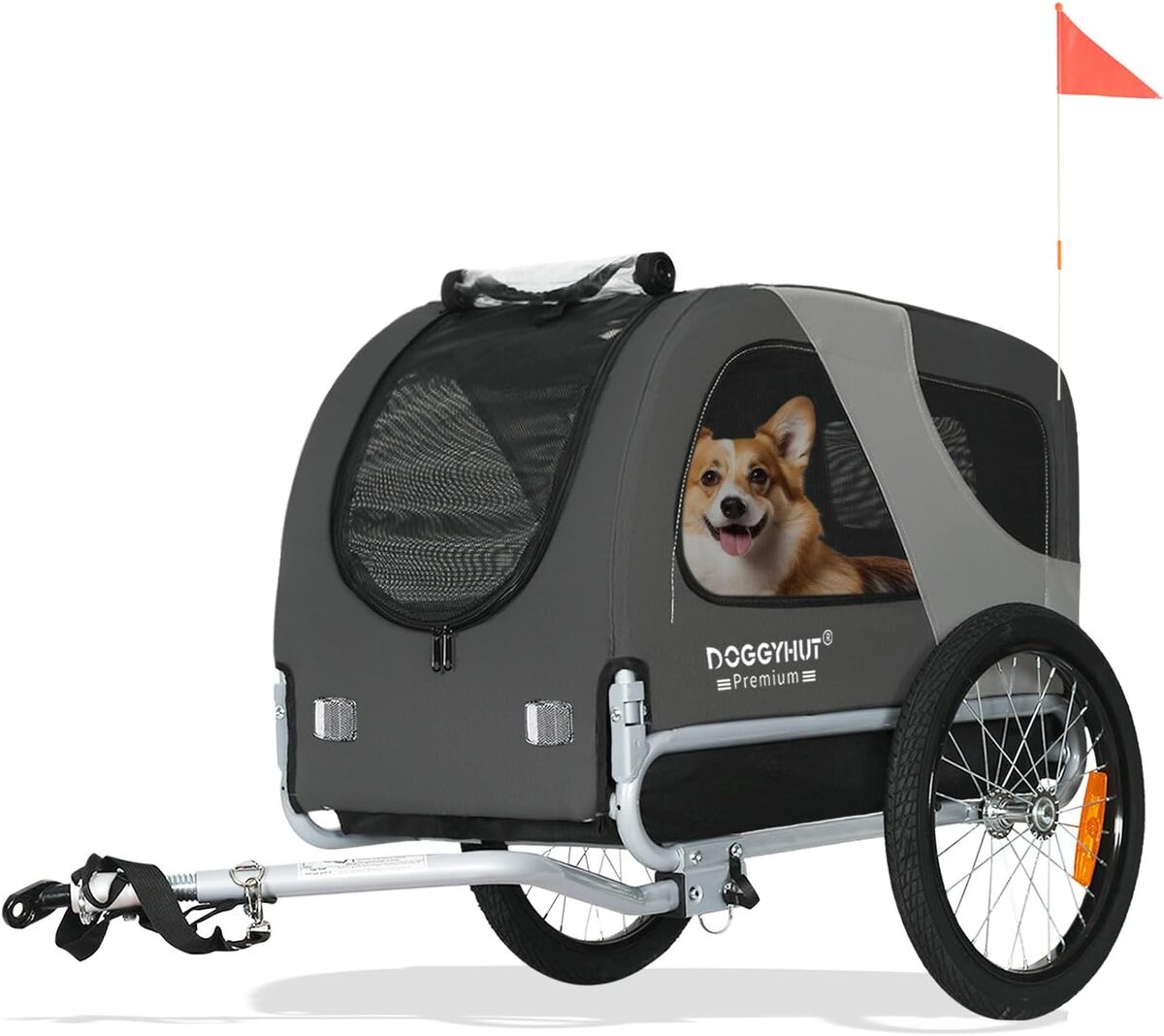 Test de la remorque vélo Tiggo DOGGYHUT 80101 pour chien