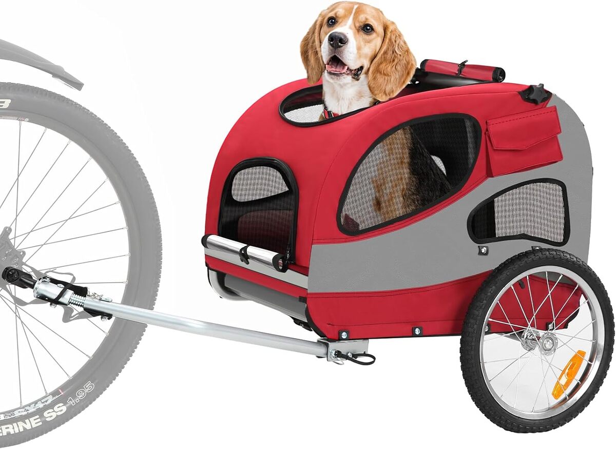 Test de la remorque Sepnine pour chien : pratique et sécurisée