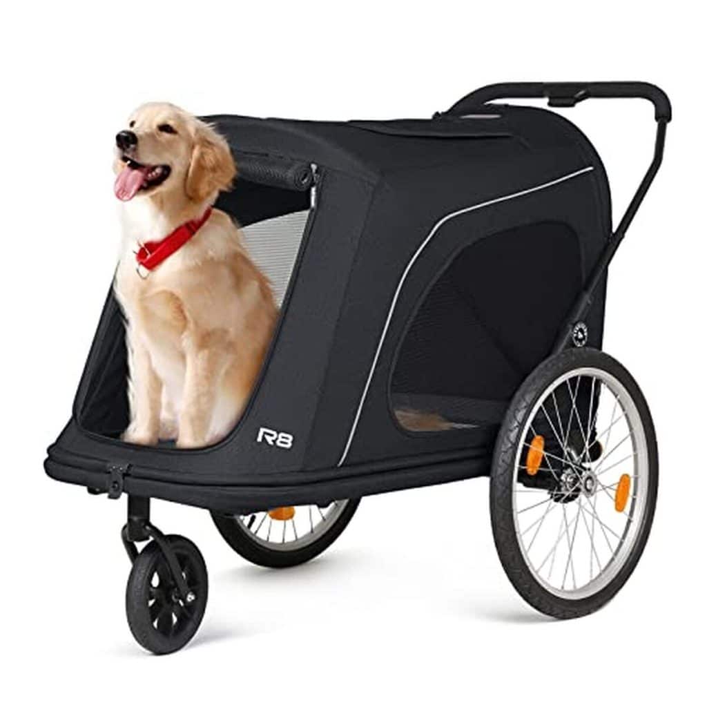 Test de la remorque poussette Beberoad 2 en 1 pour chien