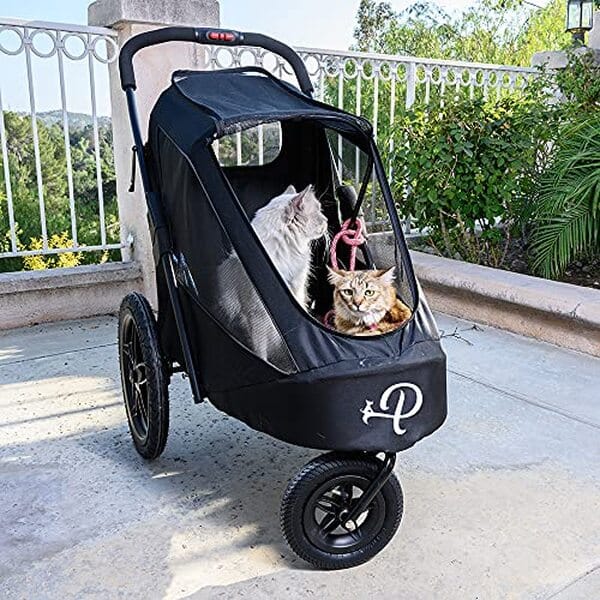 Découvrez notre test détaillé de la remorque de vélo Breeze Black pour chien : design premium, confort et sécurité pour vos trajets en famille.