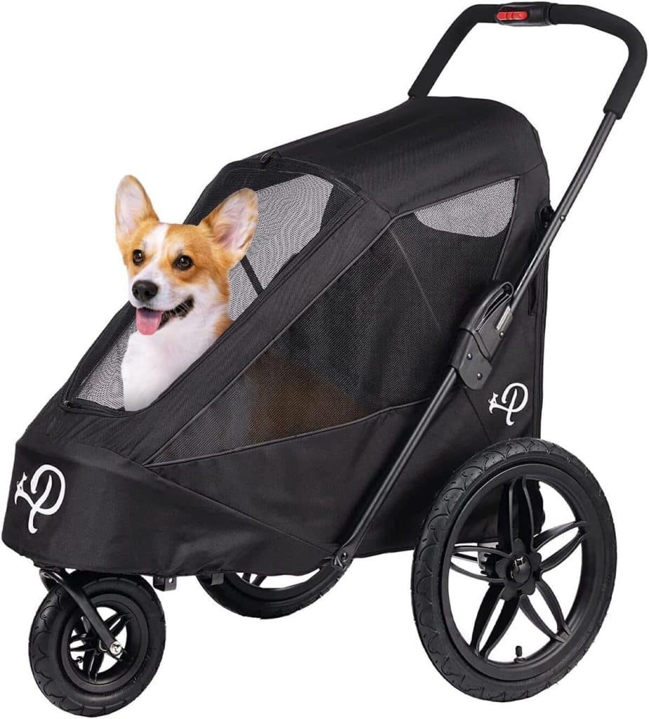 Test de la remorque de vélo de luxe Breeze Black pour chien