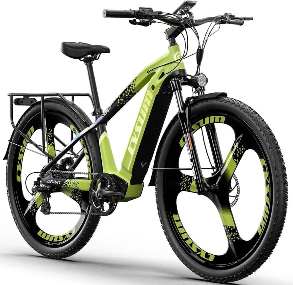 Test du vélo électrique Antgooat 29" : puissance et autonomie tout-terrain